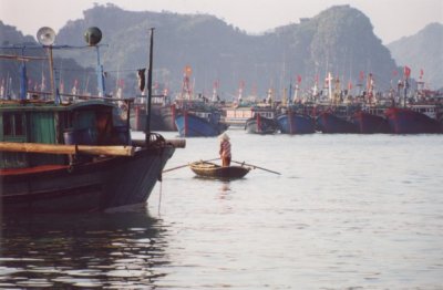 Cat Ba: early morning - a water taxi touts for business