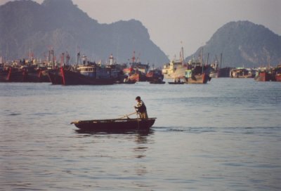 Cat Ba: most water taxi drivers are very young